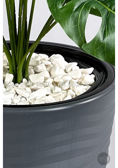 Biçiçek Yapay Monstera Deve Tabani Bi̇tki̇si̇ 130 Cm Antresi̇t Kumsal Saksıda