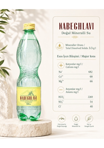 Nabeghlavi Doğal Mineralli Su 500 ML 12'li Koli