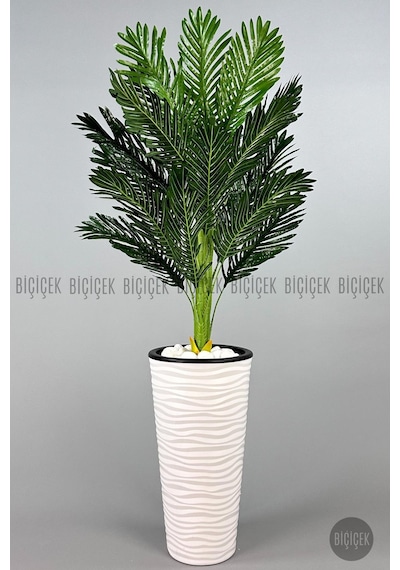 Biçiçek Areka Ağaci 150 Cm Beyaz Kumsal Saksıda Tek Gövdeli̇