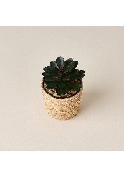 Deco Hasır Saksı Yapay Sukulent - Bej / Yeşil - 10x6 Cm Çok Renkli