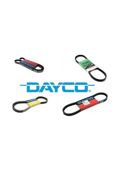 Dayco 18-736 Le Kayış Dayco 8103