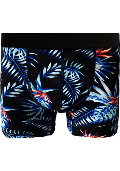 Laula Erkek Boxer 6Li Paketler Pamuk - Premium Collection