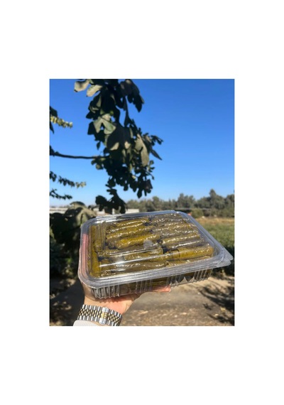 Zeytinyağlı Yaprak Sarması 1 Kg