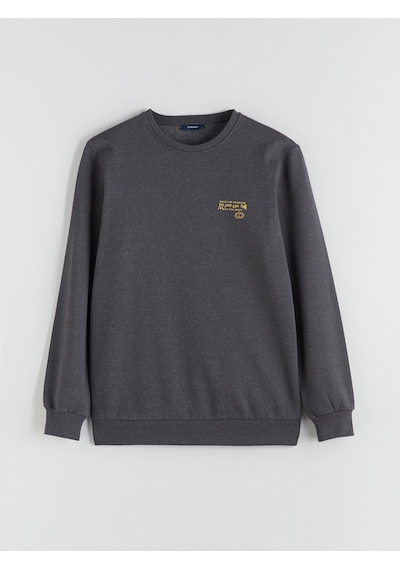 Lcw Eco Antrasit Bisiklet Yaka Baskılı Erkek Sweatshirt