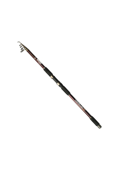 Remixon New Red Gun 2.70m 100-200gr Kamış