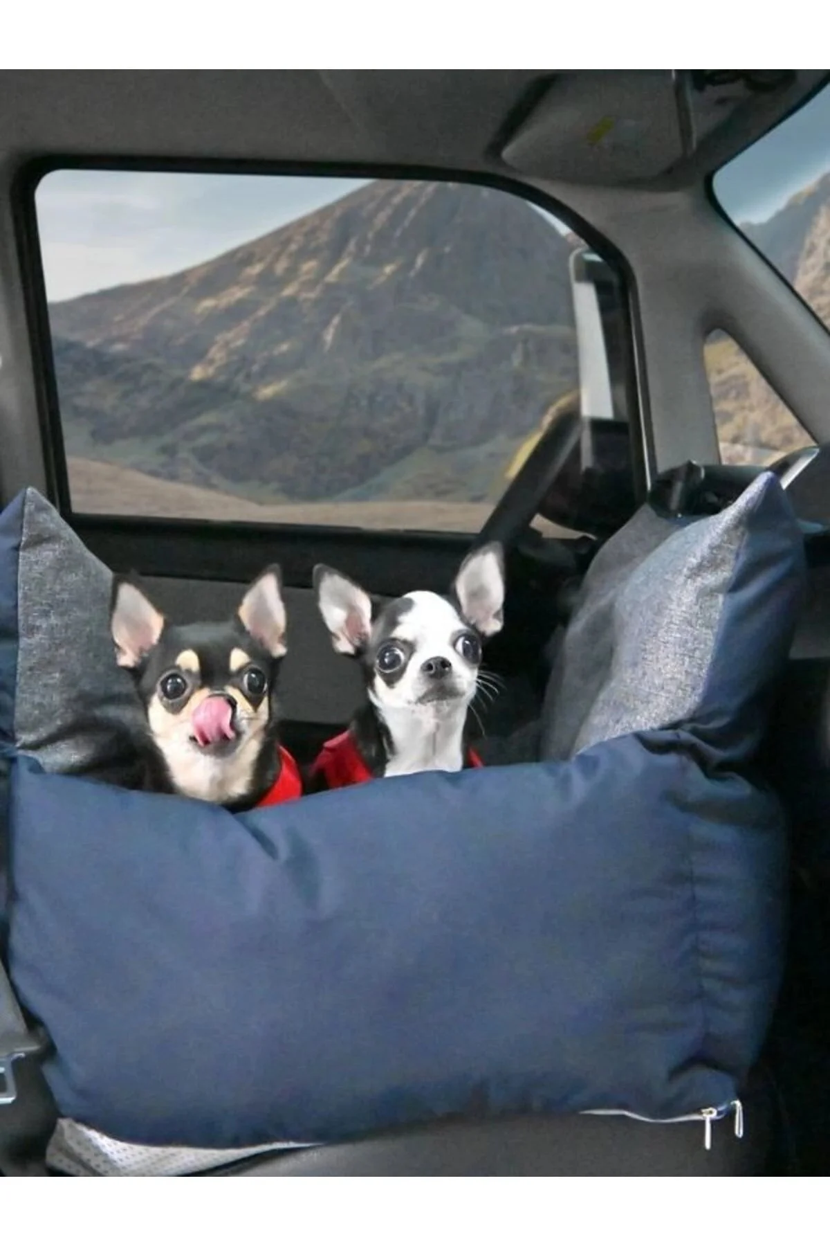 Car Seat Evcil Hayvan Araba Koltuğu