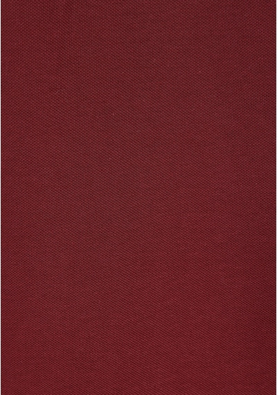 Colin's Colins Regular Fit Polo Yaka Düz Erkek Mor Kısa Kol Tişört Cl1073960 Q1.v1 Plm Mor