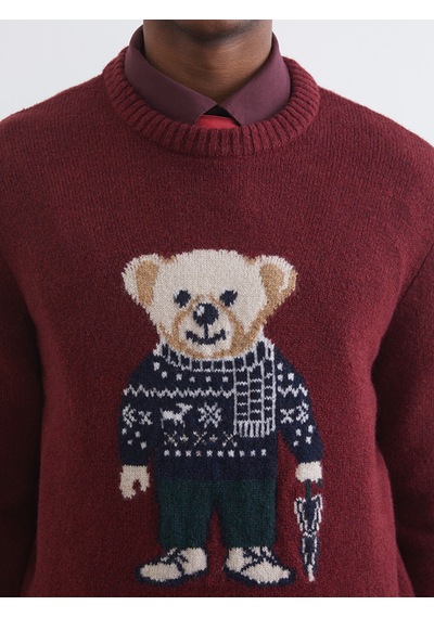 Lcw Vision Bordo Bisiklet Yaka Ayı Teddy Baskılı Erkek Triko Kazak