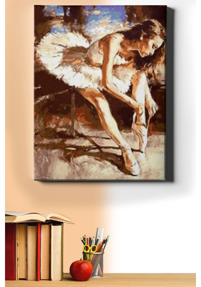 Webstyle Sayılarla Boyama Seti Kasnaklı Yıldız Balerin 40 X 50 Cm