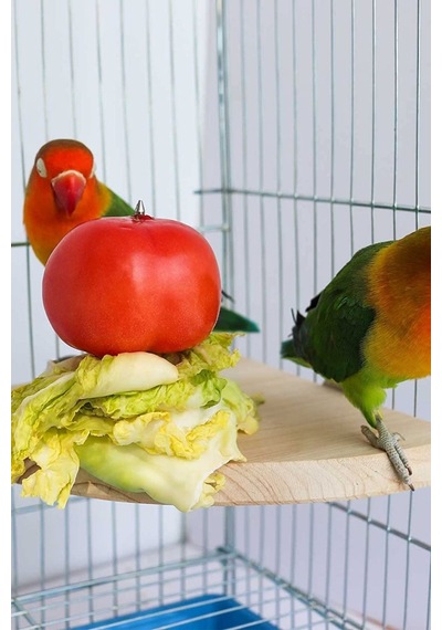 Çeyrek Daire Çivili Kuş Hamster Yemek Mama Tüneği, Uş Mama Tutucu, Doğal Ahşap Kuş Kafesi Tüneği