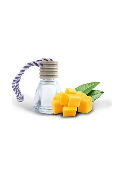 Wilma Secret 8cc Askılı Oto Kokusu Mango