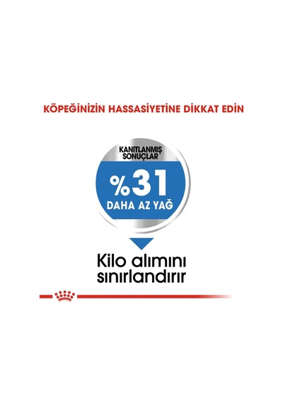 Ccn Mini Light Weight Care 3 Kg Köpek Maması