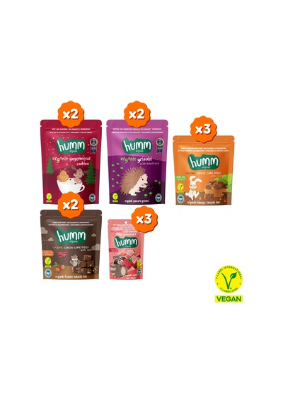 Organik Tatlı & Tuzlu Aile Boy Atıştırmalık Paketi - 12 Adet 5 Çeşit 460 G