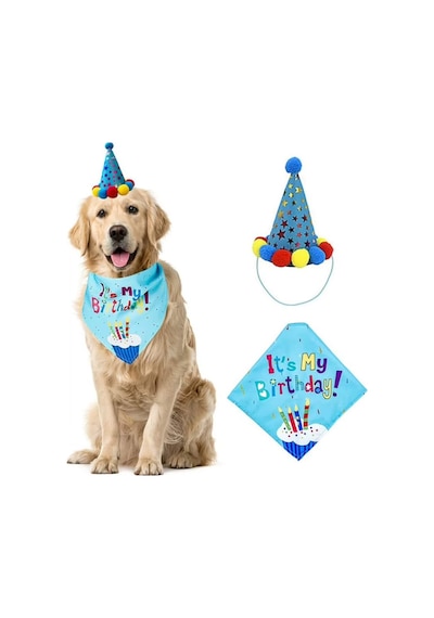 2 Adet Köpek Doğum Günü Parti Seti Mavi Balonlu Bandana