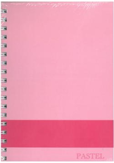 Elma 17*24 PASTEL DEFTER 120 YP Çizgili