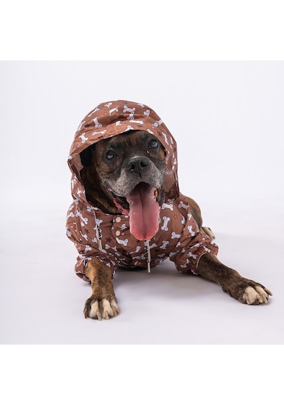 Pawstar Stellaos Fileli Orta ve Büyük Irk Köpek Montu Köpek Yağmurluk