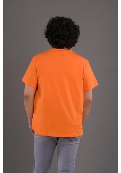 Slimfit Baskılı Sıfır Yaka Erkek Penye T-Shirt (539781109)