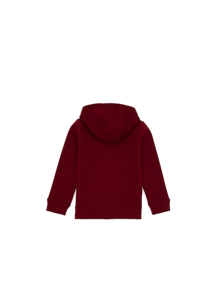 U.S. Polo Assn. Erkek Çocuk Fermuarlı Bordo Şardonlu Kapüşonlu Sweatshirt 50295127-VR014