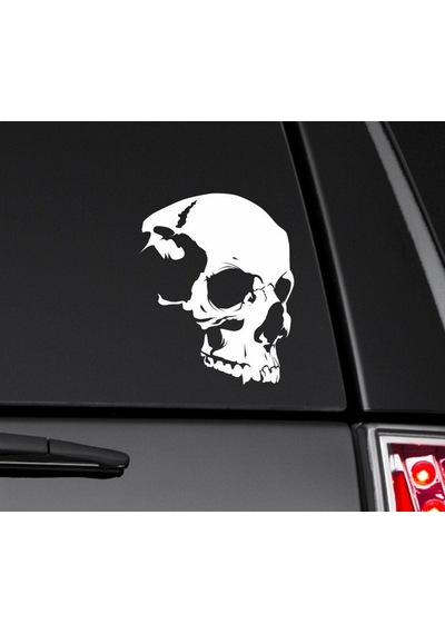 Araba Arka Cam kuru Kafa Sticker Beyaz renk 17CM