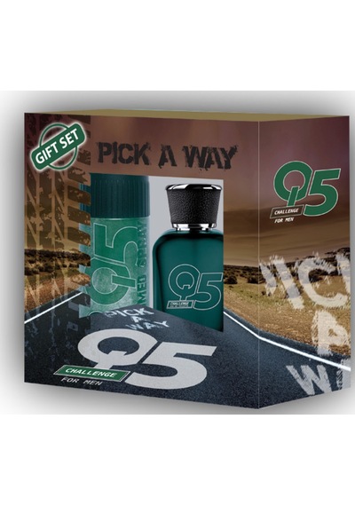 Q5 Challange Erkek Parfüm EDT 100 ML + Sprey Deodorant 150 ML