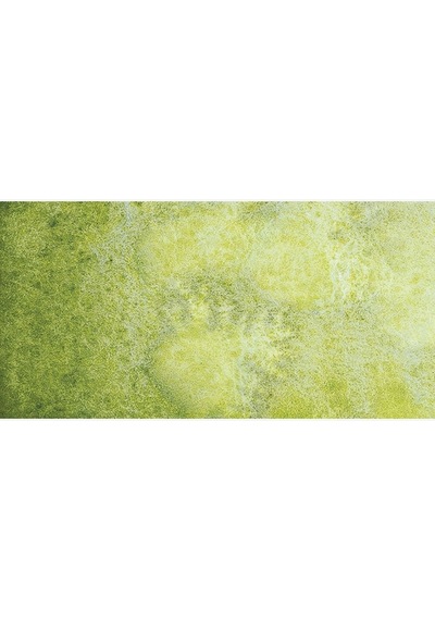 Horadam Aquarell Supergranulation Shire Olive Yarım Tablet