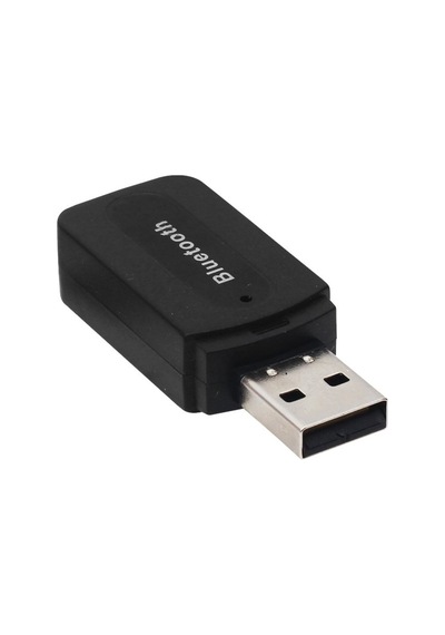Powermaster PM-15152 Bluetooth 2.0 Alıcı Adaptör