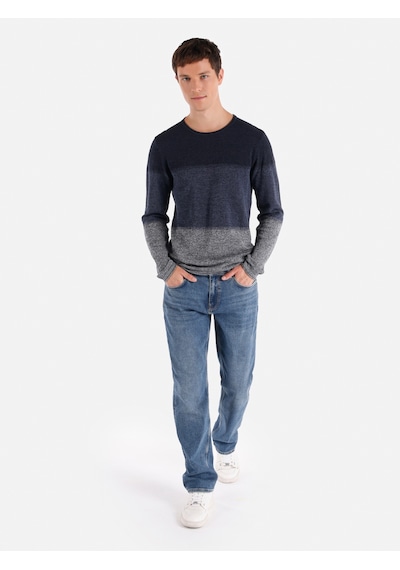 Colin's Colins Regular Fit Bisiklet Yaka Triko Lacivert Erkek Kazak Cl1064867 Lacivert