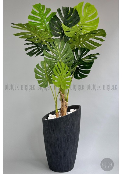 Yapay Monstera Ağacı Deve Tabani 190 Cm Antresi T Datça Saksıda Antresit