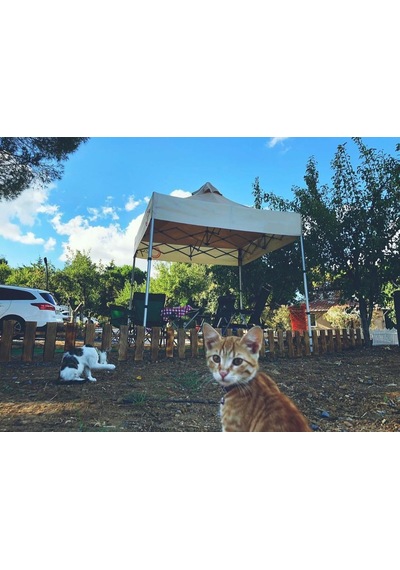 Portatif Outdoor Tente Çardak Kamp Çadırı Gölgelik Kış Bahçesi Krem