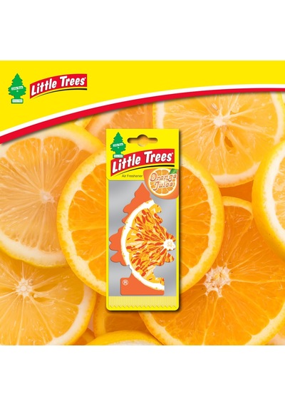 Car Freshner Asma Koku 6'lı Portakal