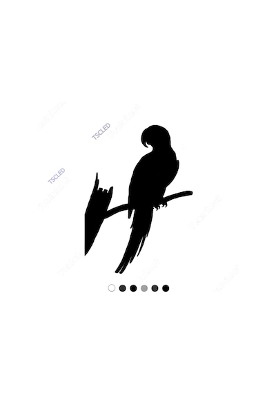 Sırtı Dönük Papağan Sticker 15Cm