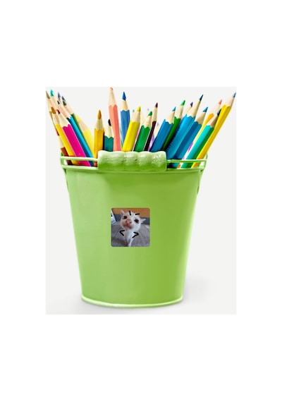 35 Adet Kedi Tatlı Komik Sticker Seti - Etiket Seti Sketchbook Çok Renkli