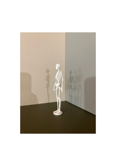 İnsan İskelet Kemiği Anatomisi Maketi Tıp Ve Eğitim İçin 3d Baskı Masaüstü Dekoratif Model