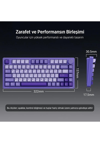 Philips Evnia Spk8618 Mekanik Rgb 81 Tuş Usb/bluetooth/2.4g Kablo