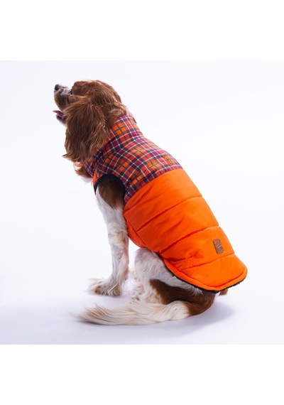 Turuncu Elgin Paws Ekose Desen Yelek Köpek Yeleği Köpek Kıyafeti Köpek Yağmurluk