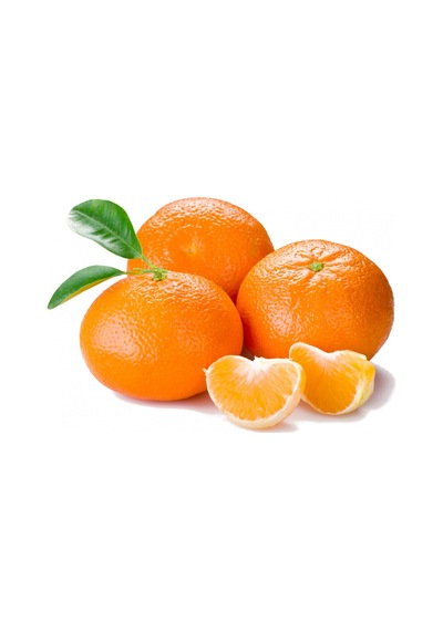 Tüplü Kokulu Çekirdeksiz Aromatik Okitsu Mandalina Fidanı