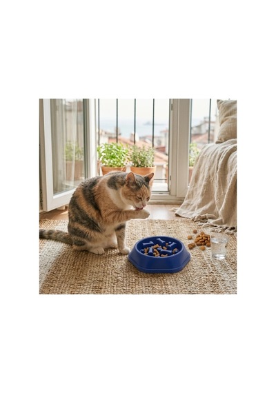 Patibon Kedi Köpek Yavaş Besleyici Mama Kabı - Anti-boğulma & Sağlıklı Beslenme - Lacivert Bzs1