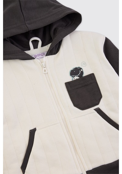 Panço Erkek Bebek Dinozor Baskılı Antrasit Sweatshirt Gri