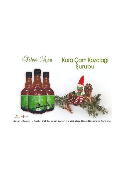 Çam Kozalağı Şurubu 500 Ml X 2 Şişe Katkısız Şekersiz
