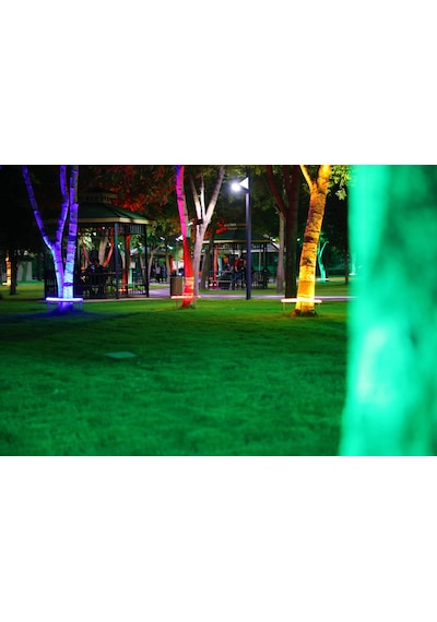 Palmiye Çember Aydınlatma Ip67 80cm