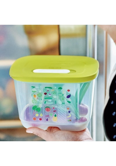 Tupperware Sera 18 Saklama Kabı - Kare Çok Renkli