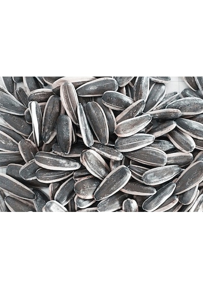 Ay Çekirdeği Siyah Sade 1 KG