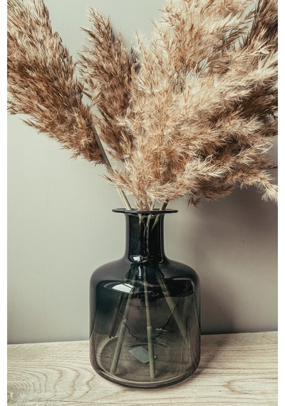 Dekoratif 7'li Natural Pampas 100cm Boyunda Doğal