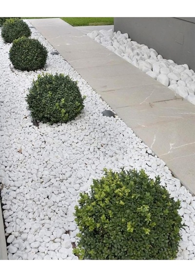 Asenya Dolomit Taş 5 Kg 2-4 Cm Beyaz Dolomit Taş Saksı Dibi Dekoratif Taş Bahçe Süsleme Taşı Peyzaj Taşı