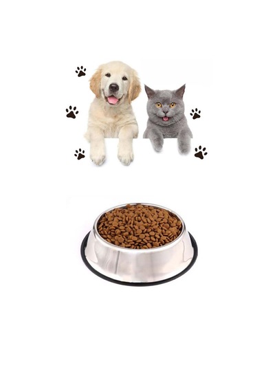 Hayvanlar Için Çelik Kaydırmaz Büyük Boy Su Mama Vb Kabı Kedi Köpek Su Mama Kabı Alt Taban 21,5 Cm