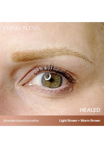Perma Blend Warm Brown Kalıcı Makyaj Kaş Pigmenti 15ml Diğer
