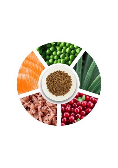 Pro 33, Kısırlaştırılmış Kediler İçin, Hipoalerjenik, Somon Balıklı Ve Karidesli Kuru Mama, 2 Kg
