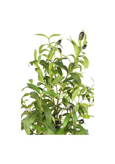 Yapay Zeytin Ağacı 110cm Doğal Görünümlü Yapay Ağaç Yeşil