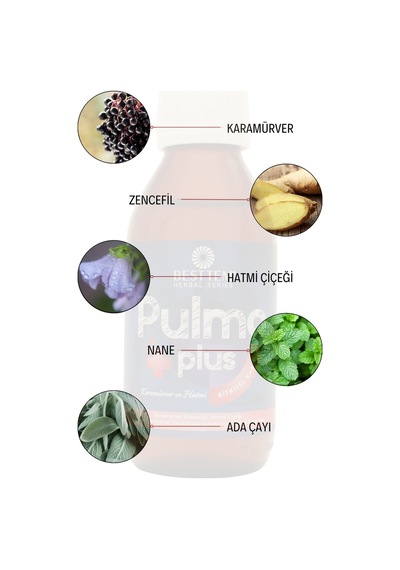 Besttem Pulmo Plus 100 Ml