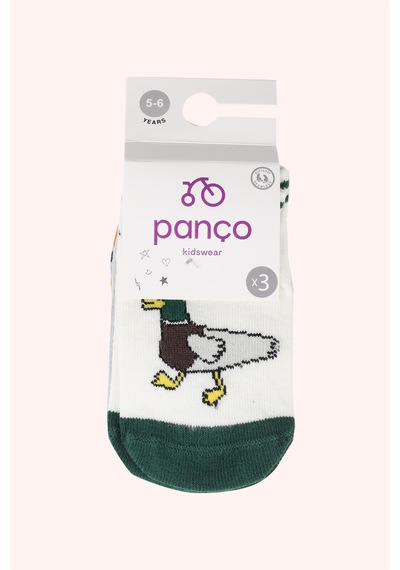 Panço Erkek Bebek 3'lü Patik Çorap Seti renkli